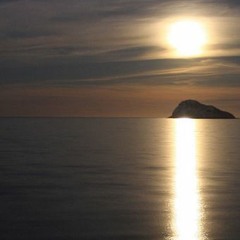 Moonlight Shimmers