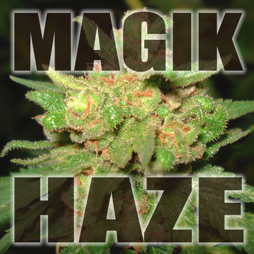 S3LO - Magik Haze