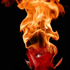 Tommy Too Shugs - The Truth Hurts (Nas - Roses Feat. Nikki Flores)