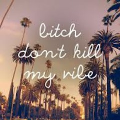 NiRobi-Bitch Don't Kill My Vibe(Feat.Lady GaGa)