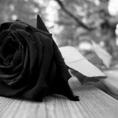 DJ TURY- NORTENO LIGHT MIX