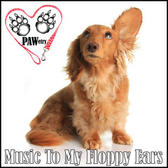 Music to My Floppy Ears