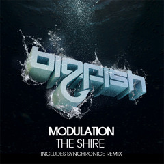 Modulation - The Shire (Original Mix)