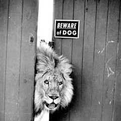 Topeng - Peterpan/Noah (Cover)