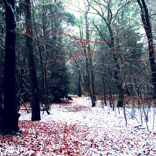 The Demise of a Race (Opening Cinematic)