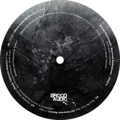 Erphun - Give me your sex (DJ Emerson remix) - Brood Audio // Snippet