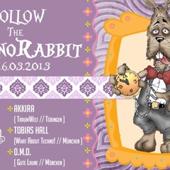 Follow the Technorabbit pres. AKKIRA (live) @ Grinsekatze 16.03.13