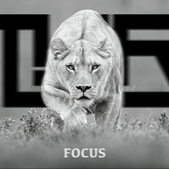 TYR - Focus