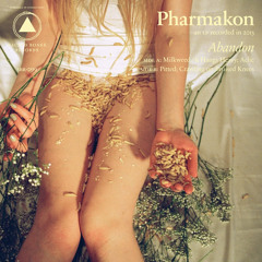 Pharmakon - Crawling On Bruised Knees