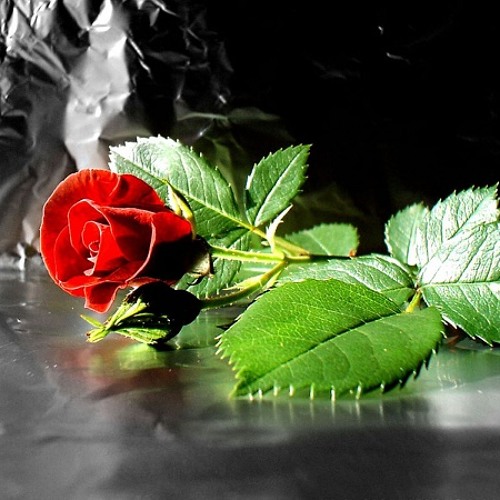 Mild มายด์ - unloveable