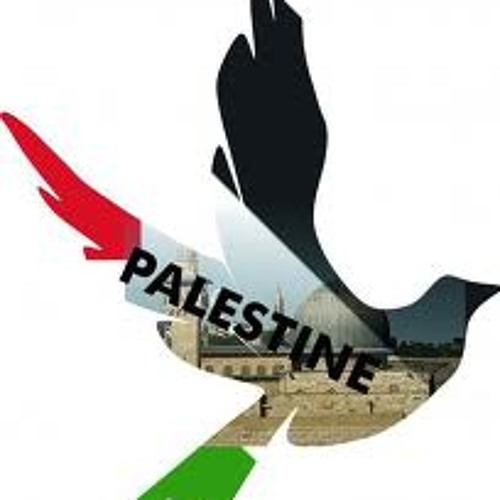 حداية فلسطيني