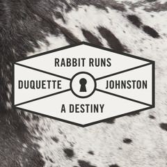 Rabbit Runs A Destiny