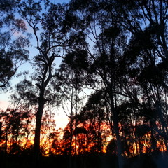 Samuel Tate - this is where I was born