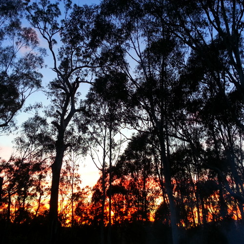 Samuel Tate - this is where I was born