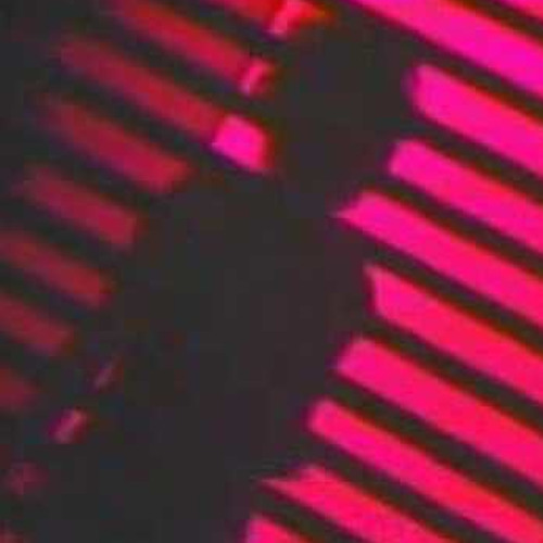 RED LIGHT Siouxsie and the B. cover (NOBODY WAS THERE)