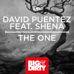 David Puentez feat. Shena - The One (Vicetone Remix) preview