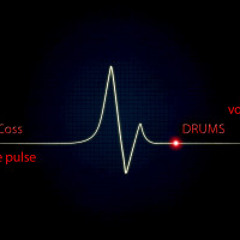 Feel the pulse vol.1 (Dj Cindel Series Mix)