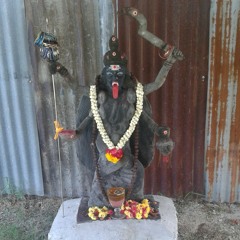Masana Salangai Oli
