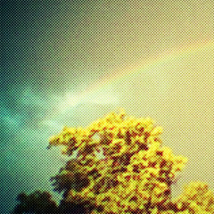 My Heart Is In My Pocket