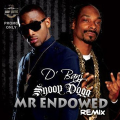 D'banj ft Snoop Dogg - Mr Endowed (remix)