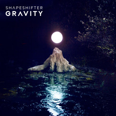 02 Gravity