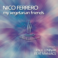 Nico Ferrero - My Vegetarian Friends (Paul Lennar Remix) Stellar Fountain Deep (Preview) GDR