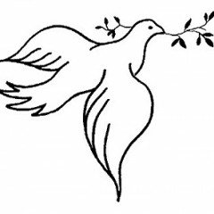 01 နားခိုရာ