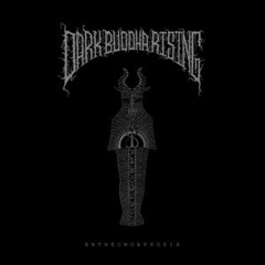 Dark buddha rising - Transcent