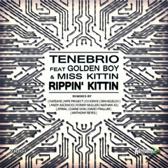 Tenebrio Feat. Golden Boy & Miss Kittin-Rippin' Kittin (David Frallar Remezcla) Preview
