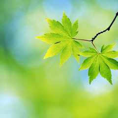 Spring [prod. by Death Tha Kid]