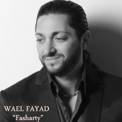 wael fayad fasharty 2013