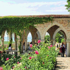 ស្នេហ៏ក្រោមម្លប់ជ្រៃ