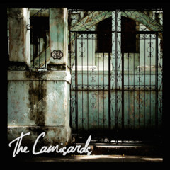 Case of Conscious