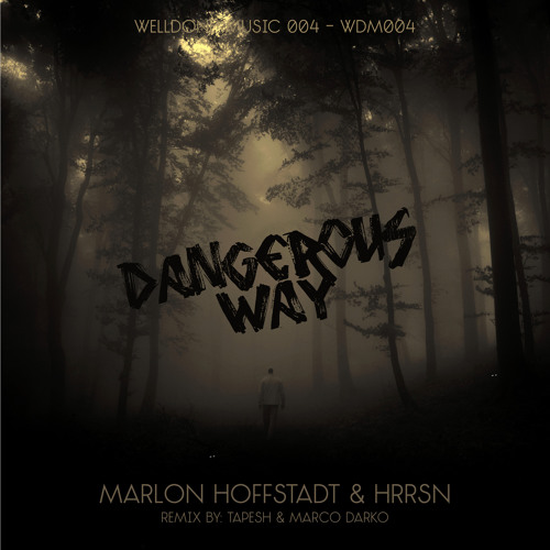 Marlon Hoffstadt & HRRSN - The Way (Original Mix)