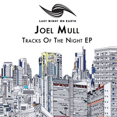 Joel Mull - Tintins Journey