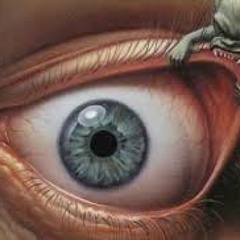 ORIGINAL BUDDHAS - THE DEFINITION OF INSOMNIA