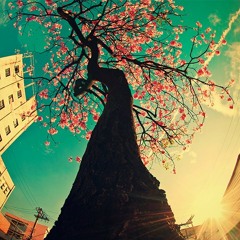 Felfel'ist - Der Joyfull Frühling