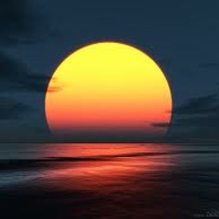 Into the wild - Marco C