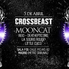 Warm Up CROSSBEAST 5 Abril - Little cuco