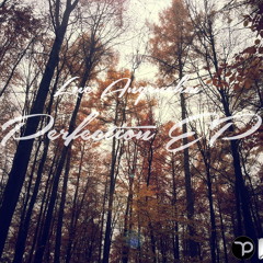 Luc Angenehm - Perfection (Original Mix) [Free D/L]