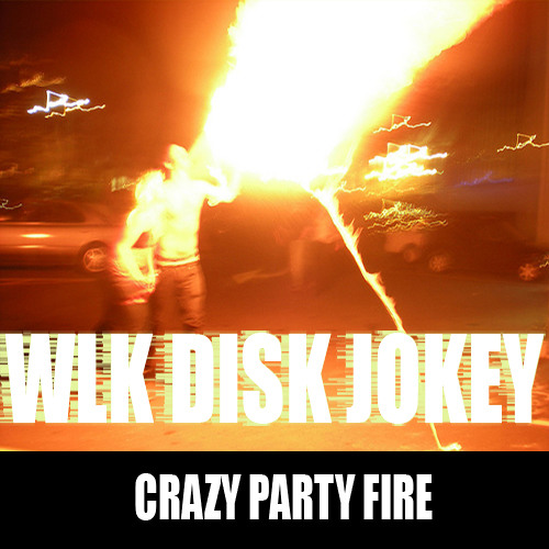 Crazy Party Fire