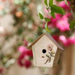 يا خاطب الحور الحسان