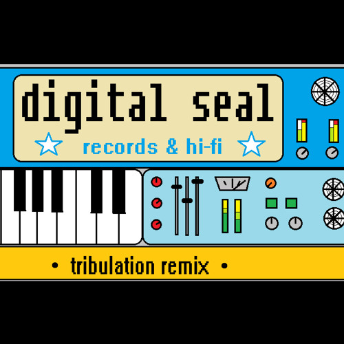Tribulation Remix/ Brother Joe Pilgrim (Digital Seal Records)