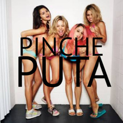 Le Rodriguez - Pinche Puta (Original Mix)