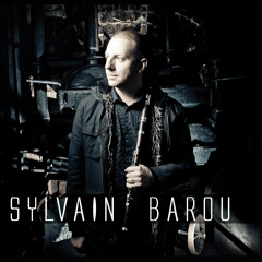 SYLVAIN BAROU - PLINN