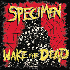 03 - "Too much Bondage (and not enough Discipline)" by Specimen