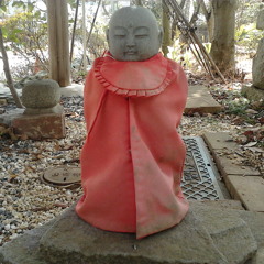 Sergi pata by Sonam Tashi