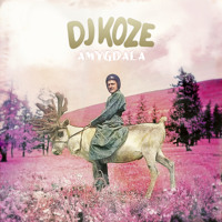 DJ Koze - Don't Lose My Mind