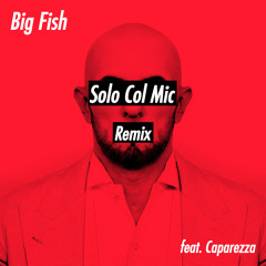 Big Fish - Solo Col Mic (feat. Caparezza) [Remix]
