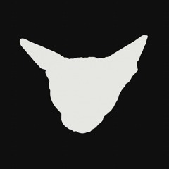 Straight Jack Cat - Majesty